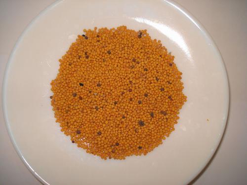 Yellow Mustard seeds
